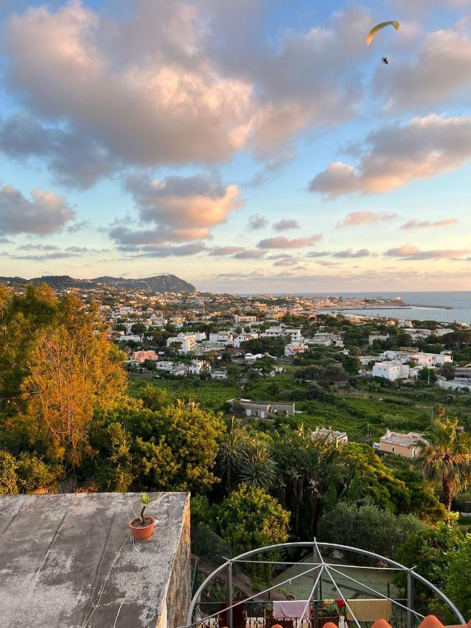 Blu Panorama Bed and Breakfast Forio di Ischia Buitenkant foto