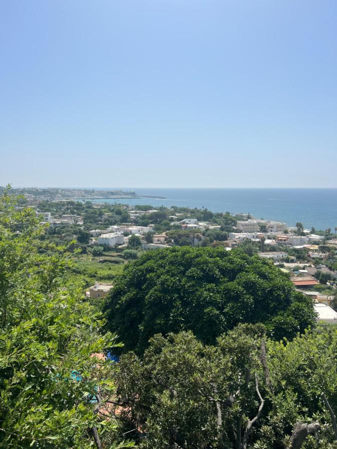 Blu Panorama Bed and Breakfast Forio di Ischia Buitenkant foto